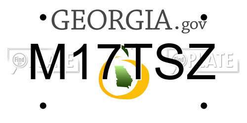 M17TSZ Georgia License Plate