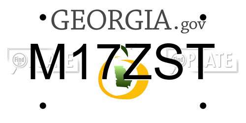 M17ZST Georgia License Plate