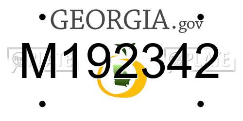 M192342 Georgia License Plate