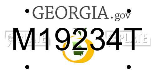 M19234T Georgia License Plate