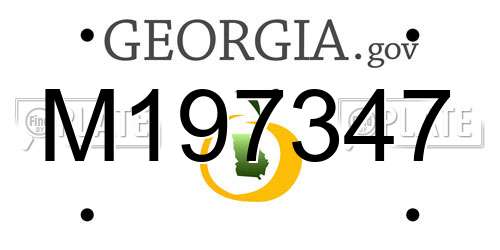 M197347 Georgia License Plate