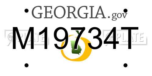 M19734T Georgia License Plate