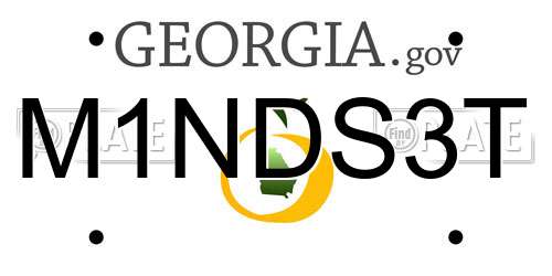 M1NDS3T Georgia License Plate