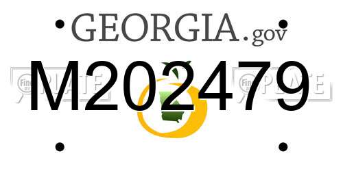 M202479 Georgia License Plate