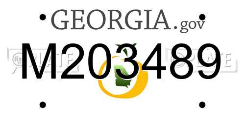 M203489 Georgia License Plate