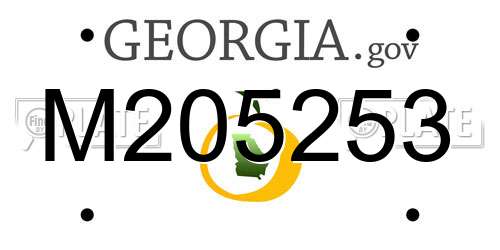 M205253 Georgia License Plate