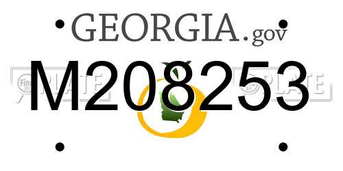 M208253 Georgia License Plate
