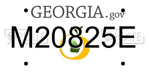 M20825E Georgia License Plate