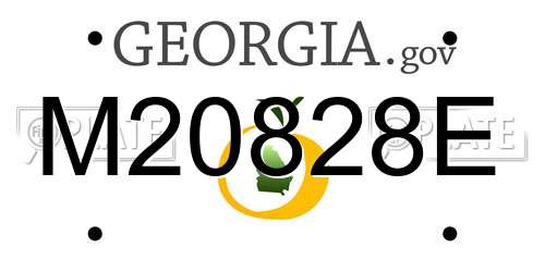 M20828E Georgia License Plate