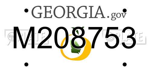 M208753 Georgia License Plate