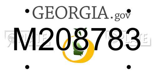 M208783 Georgia License Plate
