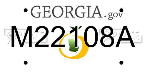 M22108A Georgia License Plate