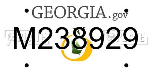 M238929 Georgia License Plate