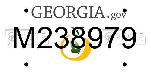 M238979 Georgia License Plate