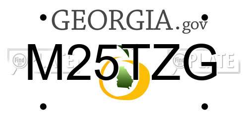 M25TZG Georgia License Plate