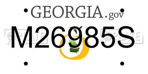 M26985S Georgia License Plate