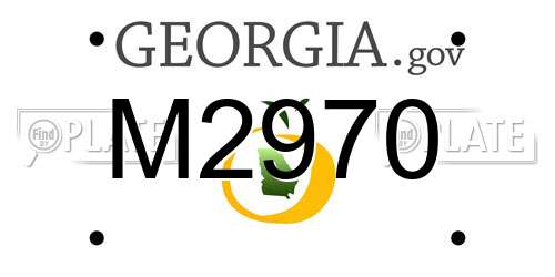 M2970 Georgia License Plate