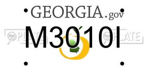 M3010I Georgia License Plate