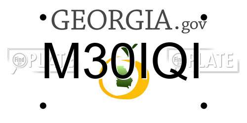 M30IQI Georgia License Plate