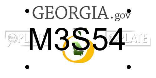 M3S54 Georgia License Plate