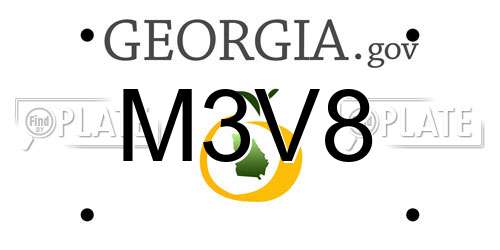 M3V8 Georgia License Plate
