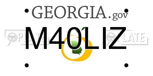 M40LIZ Georgia License Plate