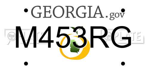 M453RG Georgia License Plate