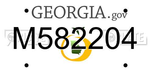 M582204 Georgia License Plate