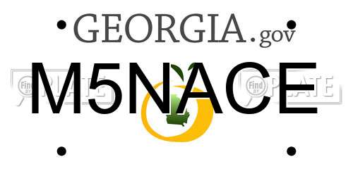 M5NACE Georgia License Plate