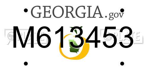 M613453 Georgia License Plate