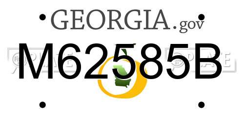 M62585B Georgia License Plate