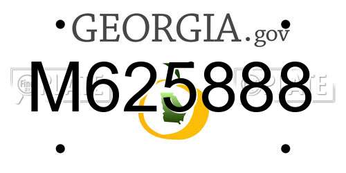M625888 Georgia License Plate