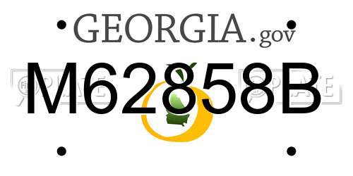 M62858B Georgia License Plate