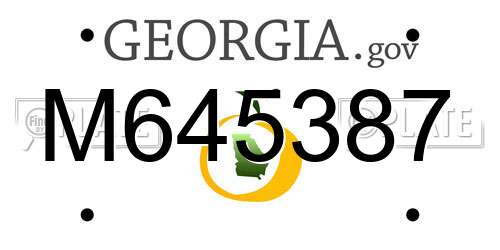 M645387 Georgia License Plate