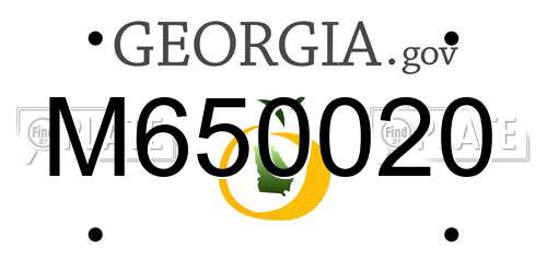 M650020 Georgia License Plate