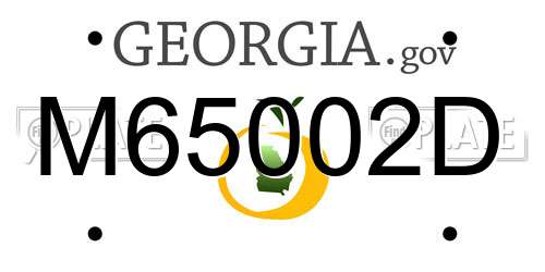 M65002D Georgia License Plate
