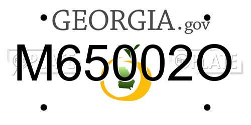 M65002O Georgia License Plate