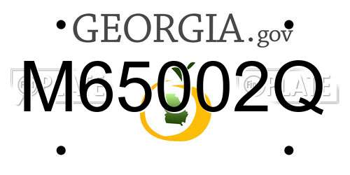M65002Q Georgia License Plate