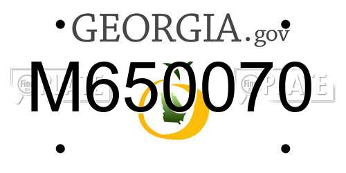 M650070 Georgia License Plate
