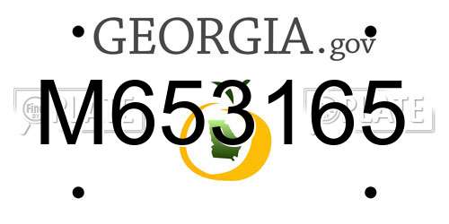 M653165 Georgia License Plate