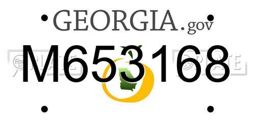 M653168 Georgia License Plate