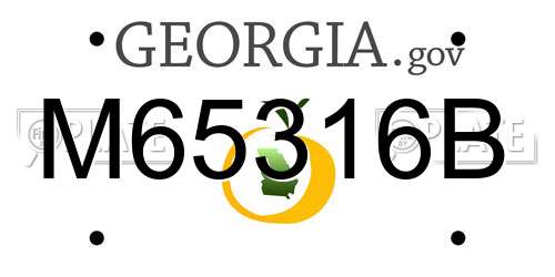 M65316B Georgia License Plate