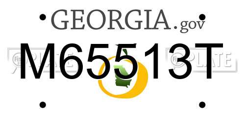 M65513T Georgia License Plate