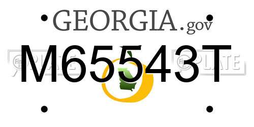 M65543T Georgia License Plate