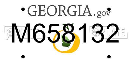 M658132 Georgia License Plate