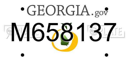 M658137 Georgia License Plate