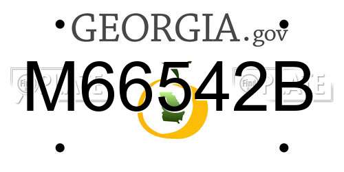 M66542B Georgia License Plate