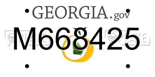 M668425 Georgia License Plate