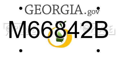 M66842B Georgia License Plate