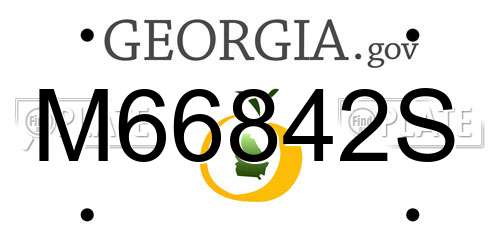 M66842S Georgia License Plate